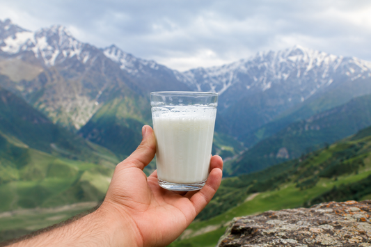Kefir im Glas als fermentiertes Lebensmittel mit lebenden Kulturen