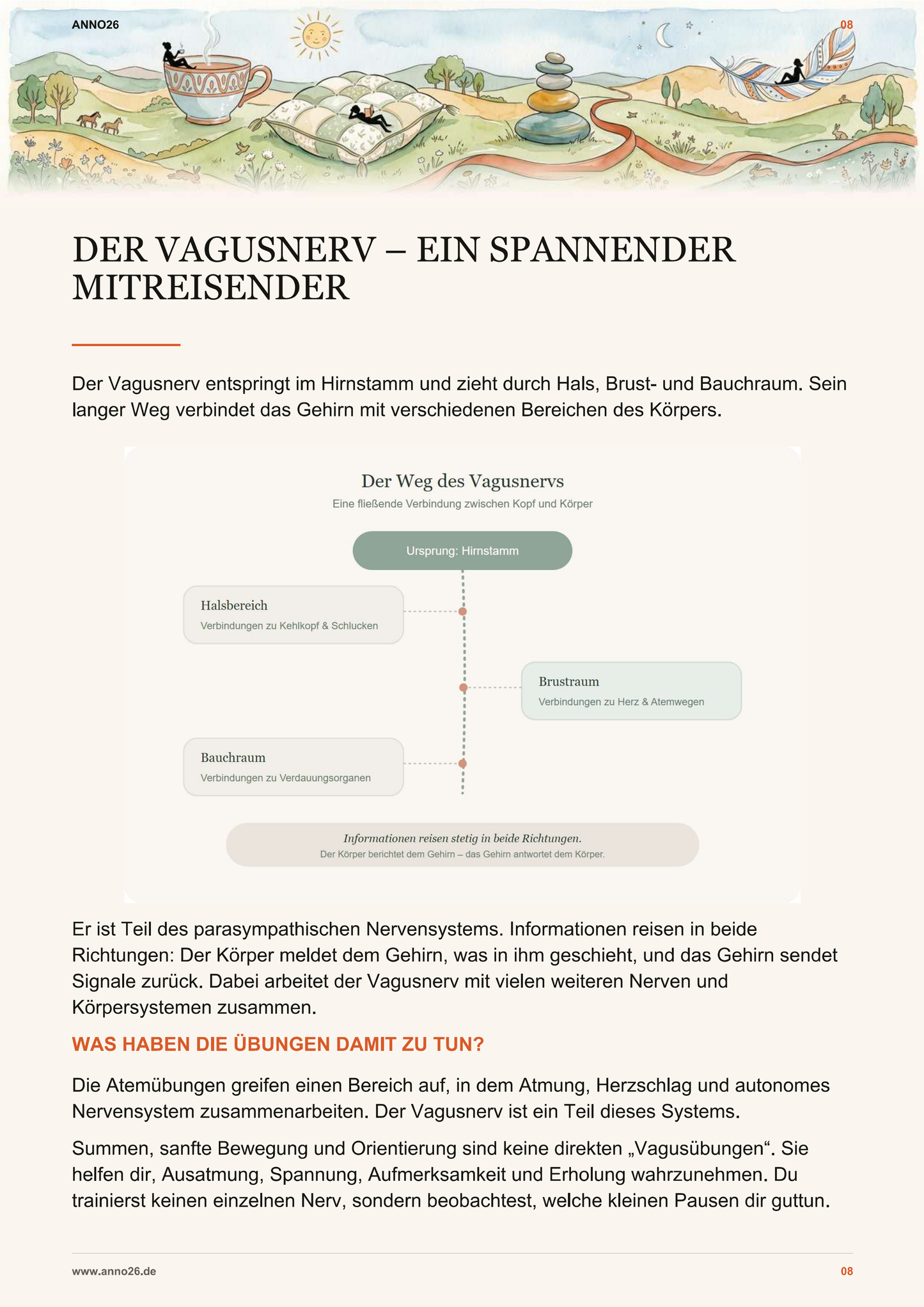 Innenseite des Vagusnerv Workbooks mit Erklärung zum Vagusnerv