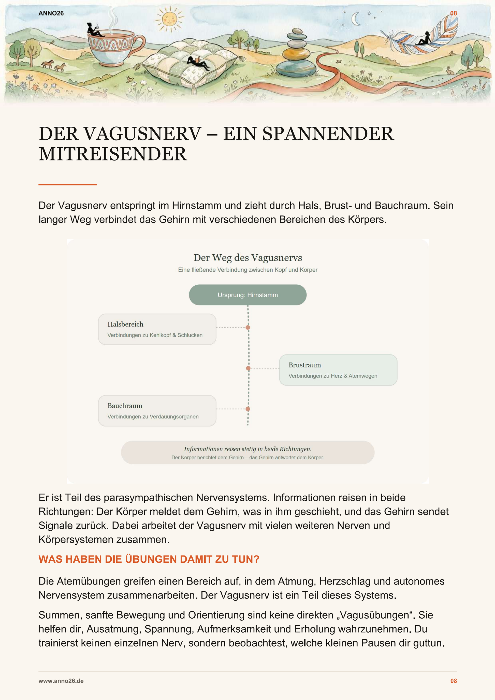 Innenseite des Vagusnerv Workbooks mit Erklärung zum Vagusnerv