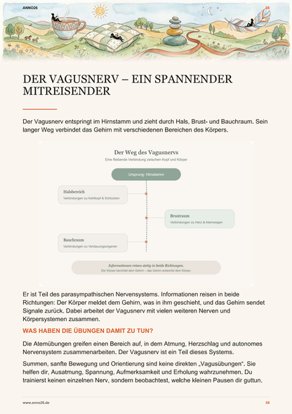 Innenseite des Vagusnerv Workbooks mit Erklärung zum Vagusnerv