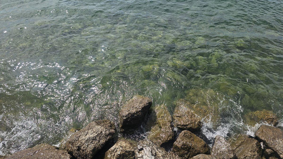 Klares Wasser am Bodensee