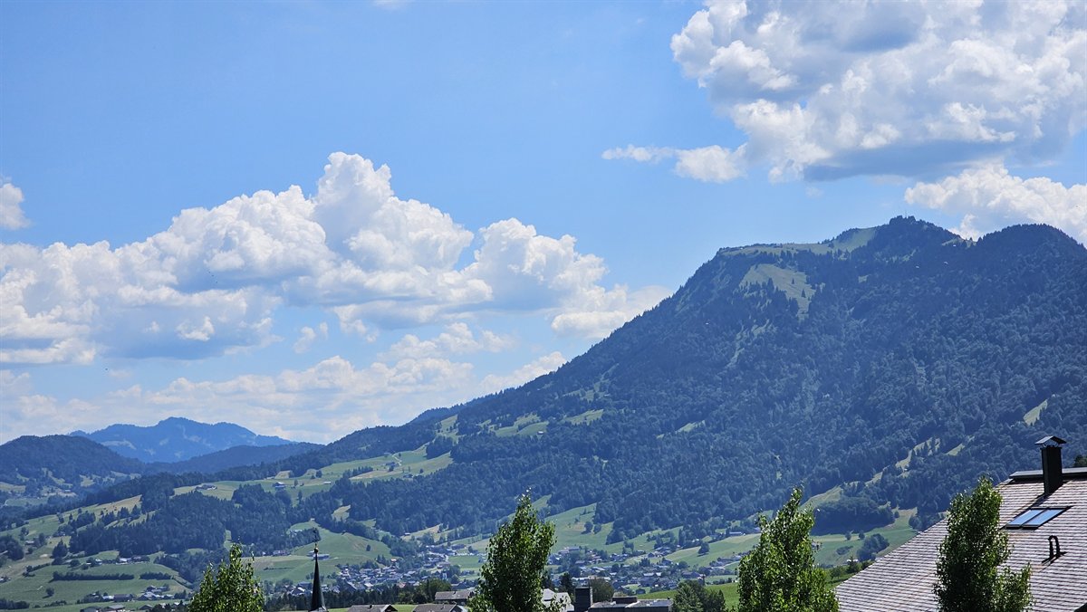 Berglandschaft im Bregenzerwald