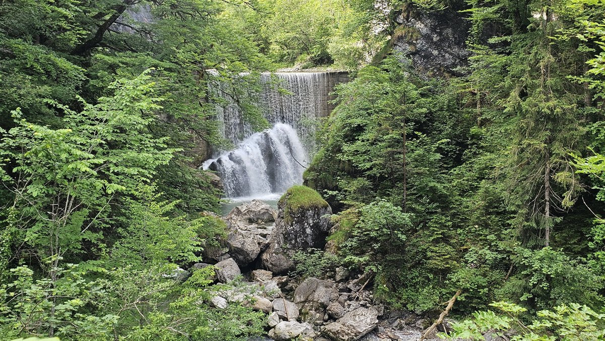 Schlucht mit Wasserfall in Vorarlberg